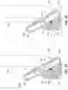 Fig. 18 - Golf club head with lattices