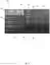 Fig. 05 - Event management system, time management system, and method of use