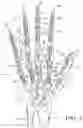 Fig. 03 - Glove with expandable finger stall