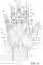 Fig. 05 - Glove with expandable finger stall