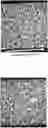 Fig. 01 - COMPRESSED METALLIC FOAM-SUPPORTED ZEOLITE MEMBRANES FOR ALCOHOL DEHYDRATION