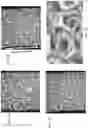 Fig. 02 - COMPRESSED METALLIC FOAM-SUPPORTED ZEOLITE MEMBRANES FOR ALCOHOL DEHYDRATION