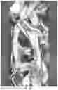 Fig. 04 - COMPRESSED METALLIC FOAM-SUPPORTED ZEOLITE MEMBRANES FOR ALCOHOL DEHYDRATION