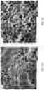 Fig. 13 - COMPRESSED METALLIC FOAM-SUPPORTED ZEOLITE MEMBRANES FOR ALCOHOL DEHYDRATION