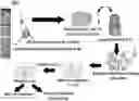 Fig. 01 - METHODS FOR CONVERTING COLLOIDAL SYSTEMS TO RESUSPENDABLE/REDISPERSABLE POWDERS THAT PRESERVE THE ORIGINAL PROPERTIES OF THE COLLOIDS
