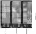 Fig. 08 - METHODS FOR CONVERTING COLLOIDAL SYSTEMS TO RESUSPENDABLE/REDISPERSABLE POWDERS THAT PRESERVE THE ORIGINAL PROPERTIES OF THE COLLOIDS