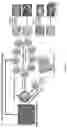 Fig. 09 - METHODS FOR CONVERTING COLLOIDAL SYSTEMS TO RESUSPENDABLE/REDISPERSABLE POWDERS THAT PRESERVE THE ORIGINAL PROPERTIES OF THE COLLOIDS