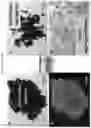 Fig. 11 - METHODS FOR CONVERTING COLLOIDAL SYSTEMS TO RESUSPENDABLE/REDISPERSABLE POWDERS THAT PRESERVE THE ORIGINAL PROPERTIES OF THE COLLOIDS