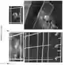 Fig. 12 - METHODS FOR CONVERTING COLLOIDAL SYSTEMS TO RESUSPENDABLE/REDISPERSABLE POWDERS THAT PRESERVE THE ORIGINAL PROPERTIES OF THE COLLOIDS