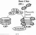 Fig. 15 - Composite comprising green rust and carbon for environmental remediation
