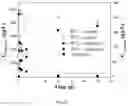 Fig. 24 - Composite comprising green rust and carbon for environmental remediation