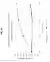 Fig. 10 - Stationary phase material