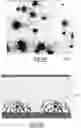 Fig. 11 - FLOW CELLS