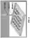 Fig. 09 - Nanoscale biochemical sample preparation and analysis