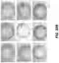 Fig. 21 - Nanoscale biochemical sample preparation and analysis