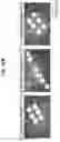 Fig. 47 - Nanoscale biochemical sample preparation and analysis