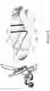 Fig. 10 - System For Spraying the Interior of a Container