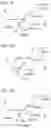 Fig. 14 - Press-formed product manufacturing method and forming die