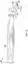 Fig. 13 - Shaving and Grooming Apparatus