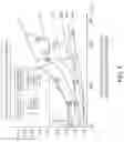 Fig. 09 - System for micro-molding articles