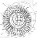 Fig. 01 - IMPROVED SPOKE TO COMPLIANT-BAND ATTACHMENT