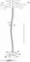 Fig. 10 - IMPROVED SPOKE TO COMPLIANT-BAND ATTACHMENT