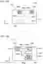 Fig. 14 - Sheet-shaped-medium feeder and sheet-shaped-medium handling apparatus