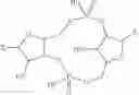 Fig. 32 - Cyclic di-nucleotide induction of type I interferon
