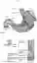 Fig. 05 - IN VITRO GASTROINTESTINAL MODEL COMPRISING LAMINA PROPRIA-DERIVED CELLS