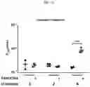 Fig. 17 - IN VITRO GASTROINTESTINAL MODEL COMPRISING LAMINA PROPRIA-DERIVED CELLS