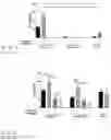 Fig. 22 - IN VITRO GASTROINTESTINAL MODEL COMPRISING LAMINA PROPRIA-DERIVED CELLS