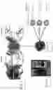 Fig. 29 - IN VITRO GASTROINTESTINAL MODEL COMPRISING LAMINA PROPRIA-DERIVED CELLS