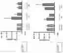 Fig. 41 - IN VITRO GASTROINTESTINAL MODEL COMPRISING LAMINA PROPRIA-DERIVED CELLS