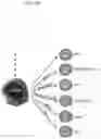 Fig. 46 - IN VITRO GASTROINTESTINAL MODEL COMPRISING LAMINA PROPRIA-DERIVED CELLS