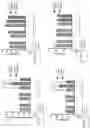 Fig. 50 - IN VITRO GASTROINTESTINAL MODEL COMPRISING LAMINA PROPRIA-DERIVED CELLS