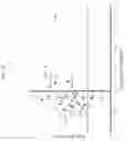 Fig. 60 - IN VITRO GASTROINTESTINAL MODEL COMPRISING LAMINA PROPRIA-DERIVED CELLS