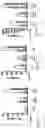 Fig. 61 - IN VITRO GASTROINTESTINAL MODEL COMPRISING LAMINA PROPRIA-DERIVED CELLS