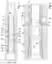 Fig. 02 - Downhole sealing