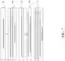 Fig. 08 - Group-based technique for dynamic label placement