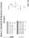 Fig. 35 - METHODS AND APPARATUS  FOR FULL SPECTRUM FLOW CYTOMETER