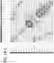 Fig. 44 - METHODS AND APPARATUS  FOR FULL SPECTRUM FLOW CYTOMETER