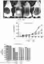 Fig. 05 - PATIENT SELECTION METHOD FOR INFLAMMATION