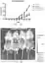 Fig. 14 - PATIENT SELECTION METHOD FOR INFLAMMATION