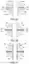 Fig. 03 - Cross dichroic prism, image display module, and image display device