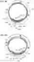 Fig. 11 - Adapter device, imaging apparatus, and accessory
