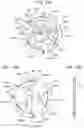 Fig. 15 - Adapter device, imaging apparatus, and accessory