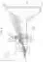 Fig. 07 - Optical device, projector, and imaging apparatus