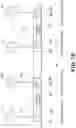 Fig. 11 - Image forming apparatus with detection of state of exposure unit