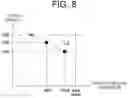 Fig. 09 - Image forming apparatus with toner density adjustment control