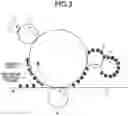 Fig. 03 - Image forming apparatus capable of suppressing image defects caused by paper dust